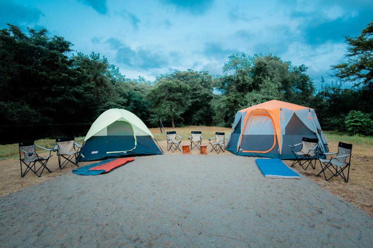Kayjay Wild Wilpattu Hotell Exteriör bild