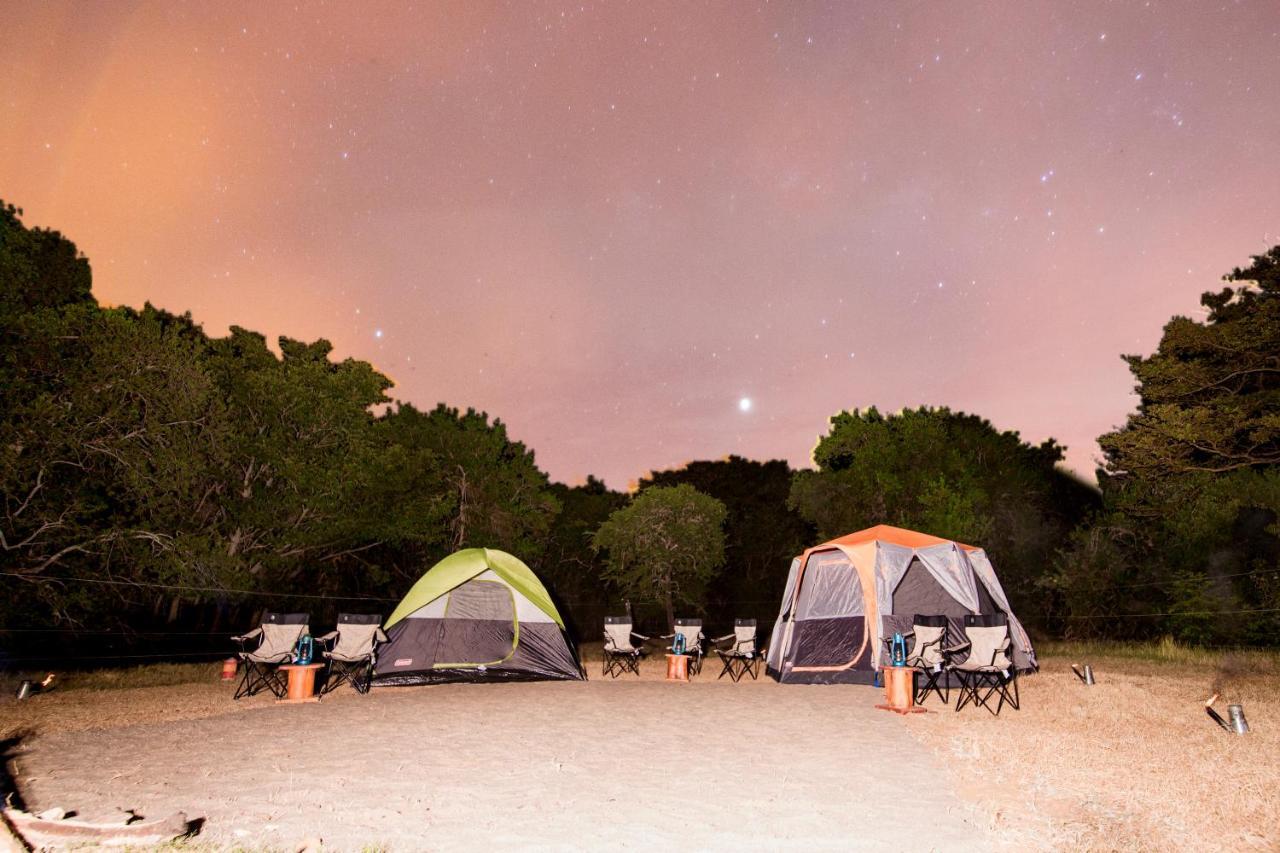 Kayjay Wild Wilpattu Hotell Exteriör bild